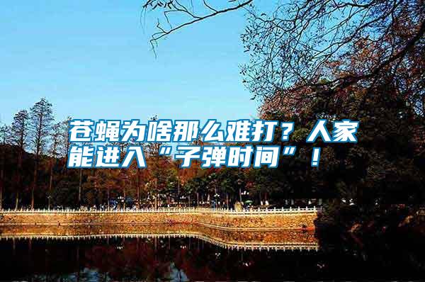 蒼蠅為啥那么難打?人家能進入“子彈時間”!