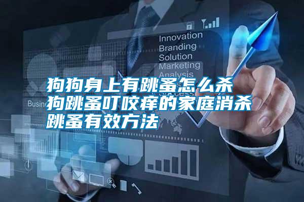 狗狗身上有跳蚤怎么殺 狗跳蚤叮咬癢的家庭消殺跳蚤有效方法