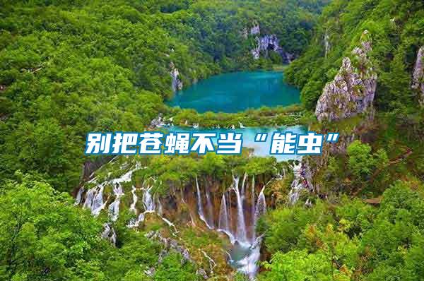 別把蒼蠅不當(dāng)“能蟲”