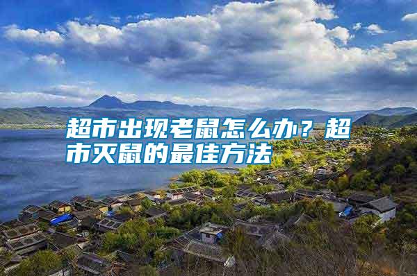 超市出現(xiàn)老鼠怎么辦？超市滅鼠的最佳方法