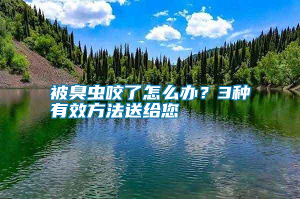 被臭蟲咬了怎么辦?3種有效方法送給您