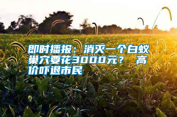 即時播報:消滅一個白蟻巢穴要花3000元? 高價嚇退市民