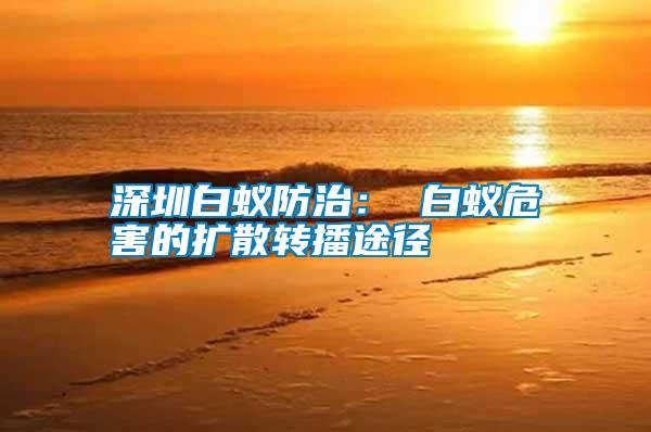 深圳白蟻防治: 白蟻危害的擴散轉播途徑