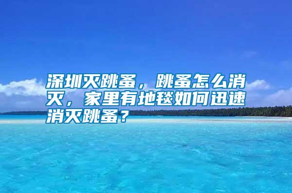 深圳滅跳蚤，跳蚤怎么消滅，家里有地毯如何迅速消滅跳蚤？