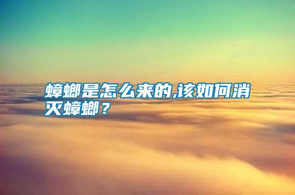 蟑螂是怎么來的,該如何消滅蟑螂？