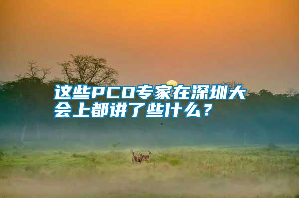 這些PCO專家在深圳大會上都講了些什么？