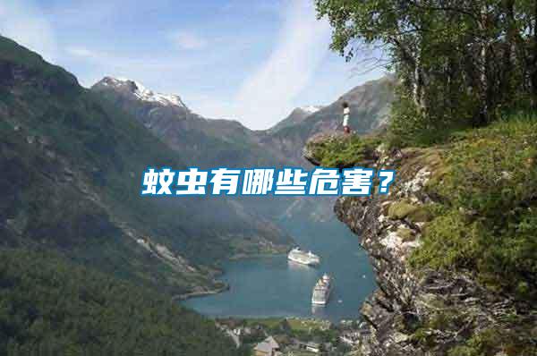 蚊蟲有哪些危害？