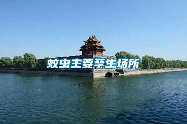 蚊蟲主要孳生場(chǎng)所