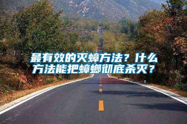 最有效的滅蟑方法？什么方法能把蟑螂徹底殺滅？