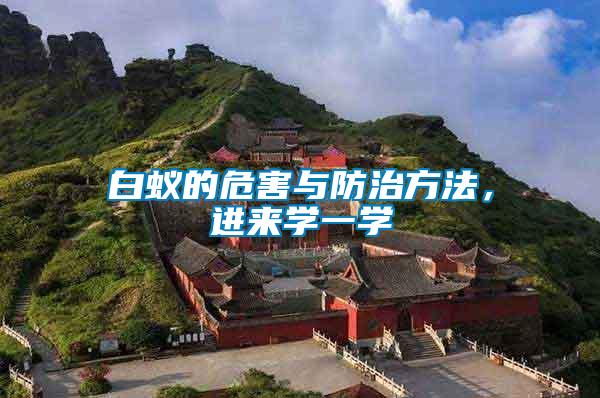 白蟻的危害與防治方法,進來學一學