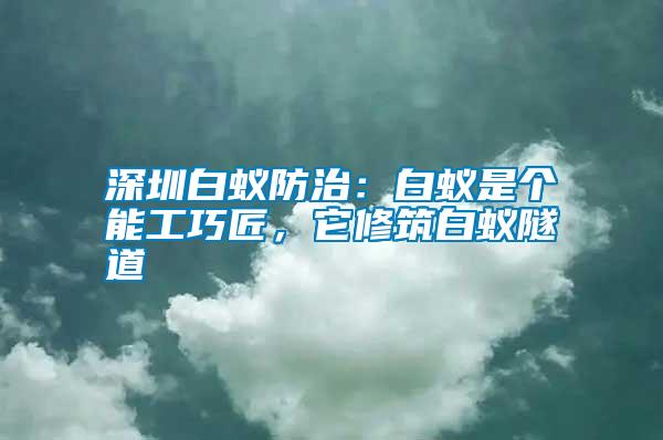 深圳白蟻防治：白蟻是個(gè)能工巧匠，它修筑白蟻隧道