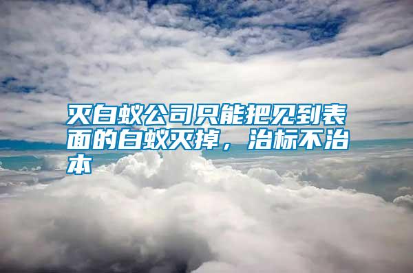 滅白蟻公司只能把見到表面的白蟻滅掉，治標不治本