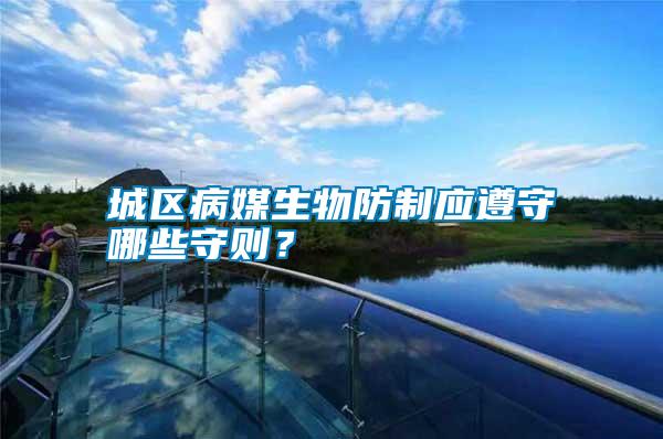 城區病媒生物防制應遵守哪些守則?