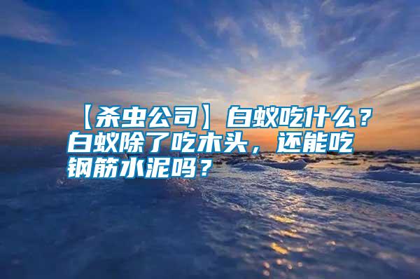 【殺蟲公司】白蟻吃什么？白蟻除了吃木頭，還能吃鋼筋水泥嗎？