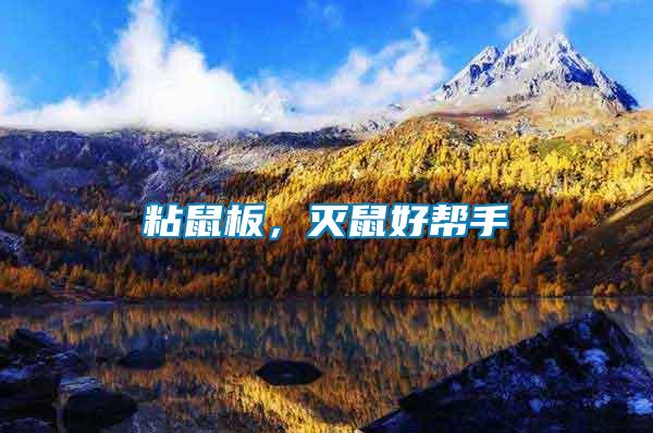 粘鼠板,滅鼠好幫手