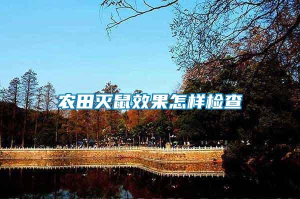 農田滅鼠效果怎樣檢查