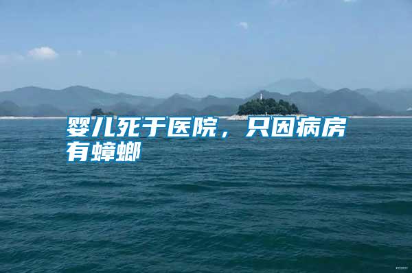 嬰兒死于醫院，只因病房有蟑螂