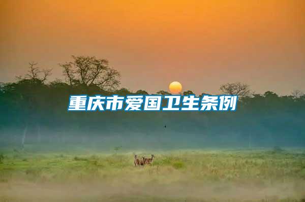 重慶市愛(ài)國(guó)衛(wèi)生條例