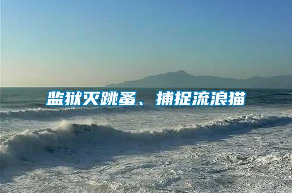 監獄滅跳蚤、捕捉流浪貓