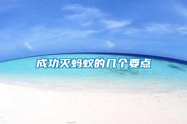 成功滅螞蟻的幾個要點