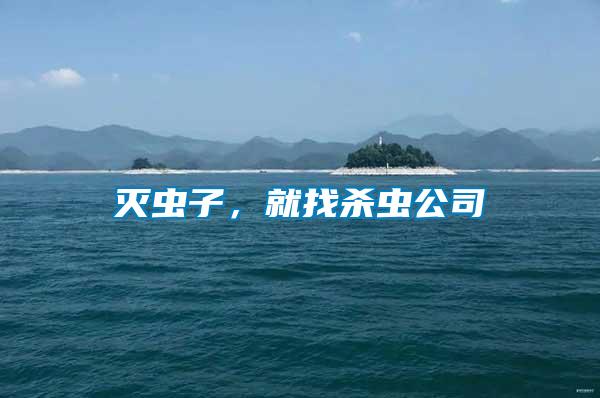 滅蟲子,就找殺蟲公司