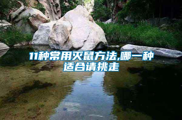 11種常用滅鼠方法,哪一種適合請?zhí)糇?/></p>
             <p style=