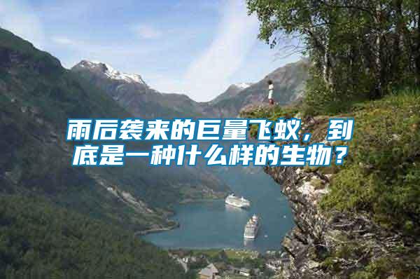 雨后襲來的巨量飛蟻,到底是一種什么樣的生物?