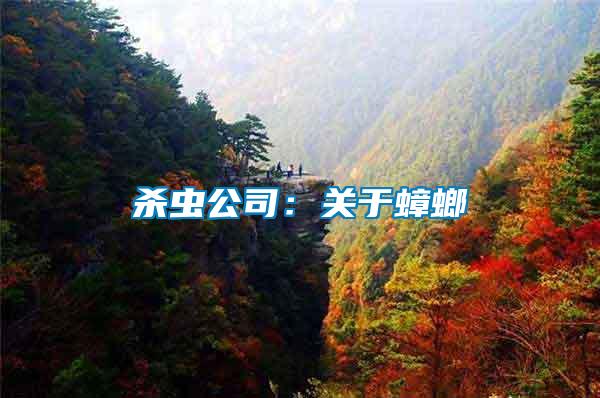 殺蟲公司:關于蟑螂