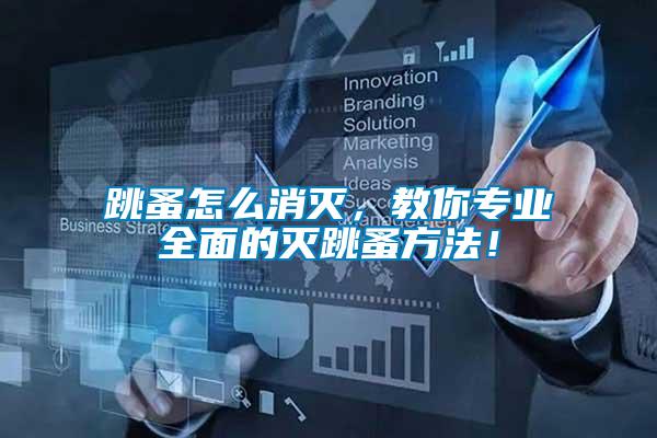 跳蚤怎么消滅，教你專業全面的滅跳蚤方法！