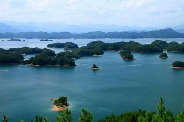 抗藥性是什么意思？蚊子怎么會出現抗藥性？