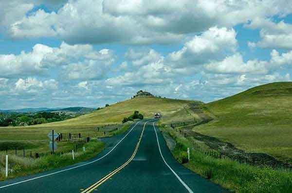 蟑螂的危害有哪些？滅蟑螂公司告訴您！