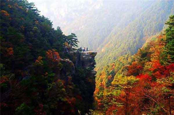 簡述深圳滅跳蚤的常用方法!