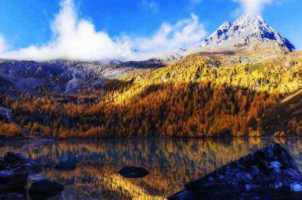 家里有臭蟲怎么辦？莫驚慌，保持衛(wèi)生、燙曬來除蟲！