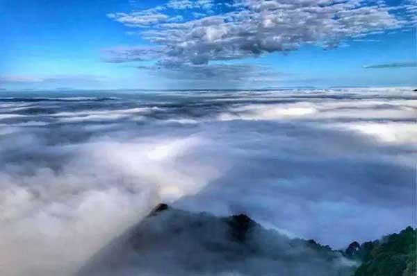 危害：“新四害”之首，已成為多種疾病的產(chǎn)生和傳播根源