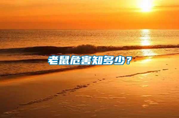 老鼠危害知多少?