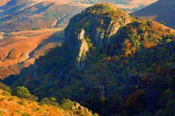 白蟻防治:白蟻巢的構(gòu)造