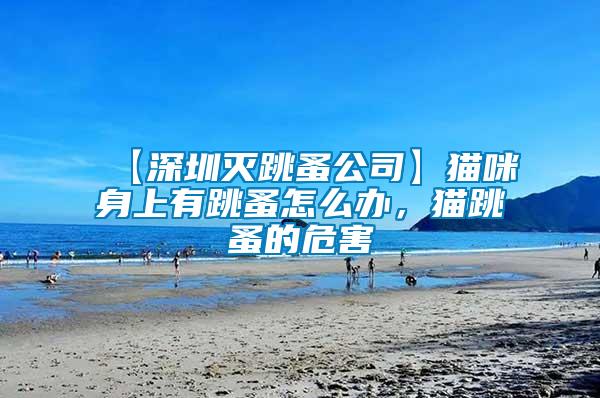 【深圳滅跳蚤公司】貓咪身上有跳蚤怎么辦，貓?zhí)榈奈：?/></p>
             <p style=