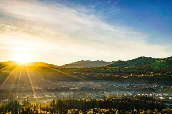 有了蟑螂怎么辦、要及時處理嗎