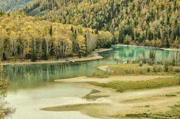 深圳哪里有殺白蟻,白蟻和蜜蜂、螞蟻一樣,有著明確的社會(huì)結(jié)構(gòu)