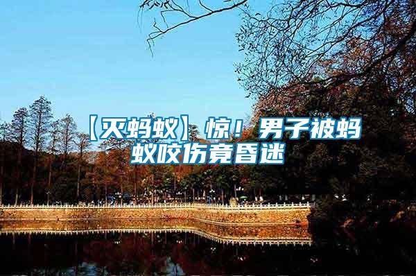 【滅螞蟻】驚!男子被螞蟻咬傷竟昏迷