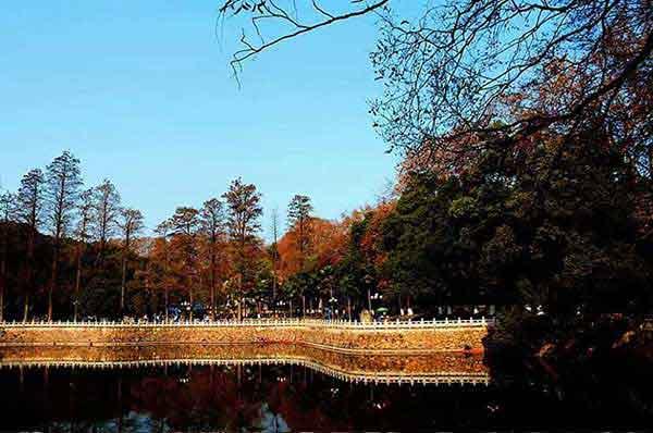 蟑螂怕什么,如何消滅蟑螂,什么蟑螂藥好