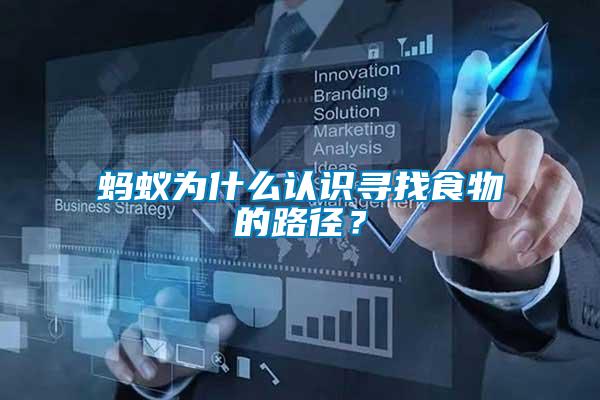 螞蟻為什么認(rèn)識尋找食物的路徑？