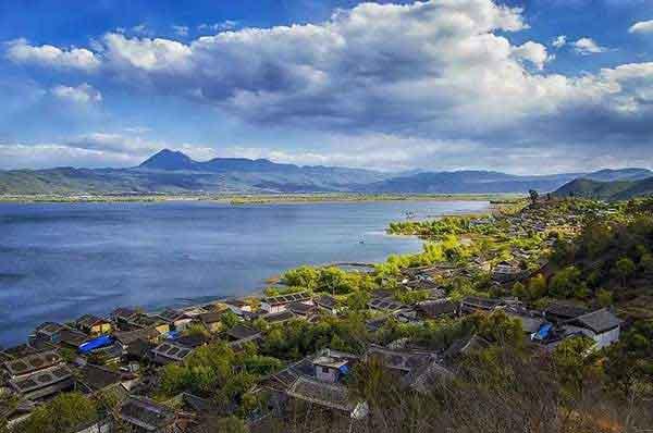 【深圳殺蟲滅鼠公司】如何才能消滅臭蟲？遠離臭蟲？