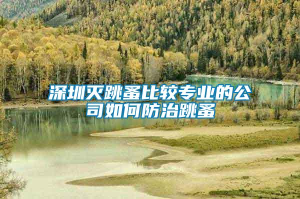 深圳滅跳蚤比較專(zhuān)業(yè)的公司如何防治跳蚤