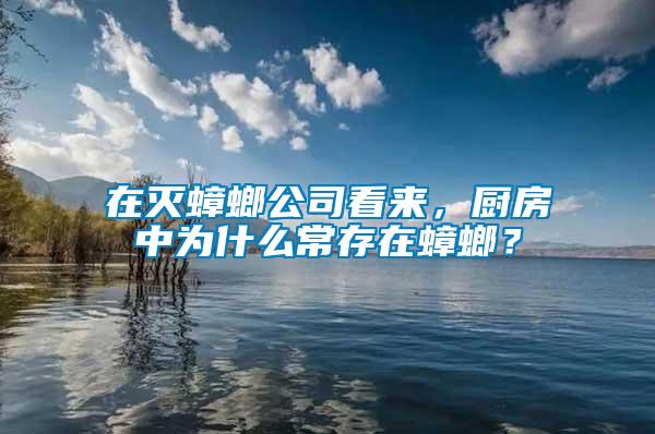 在滅蟑螂公司看來，廚房中為什么常存在蟑螂？