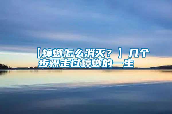 【蟑螂怎么消滅？】幾個步驟走過蟑螂的一生