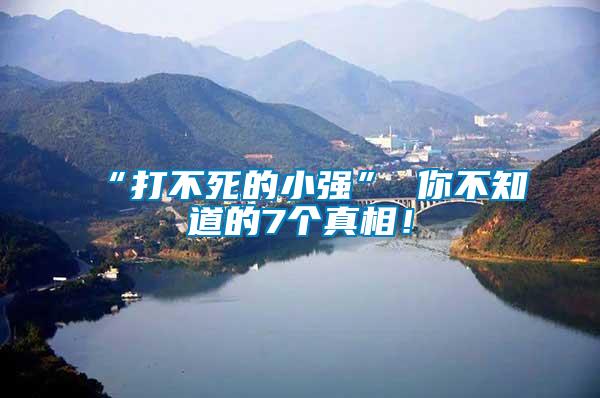 “打不死的小強” 你不知道的7個真相!