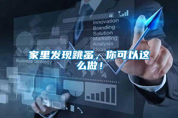 家里發(fā)現(xiàn)跳蚤，你可以這么做！