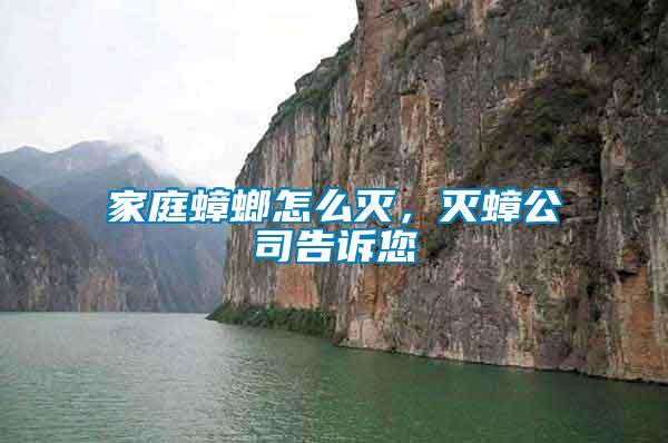 家庭蟑螂怎么滅，滅蟑公司告訴您