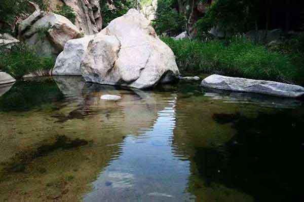 滅蟲公司，大家都需要